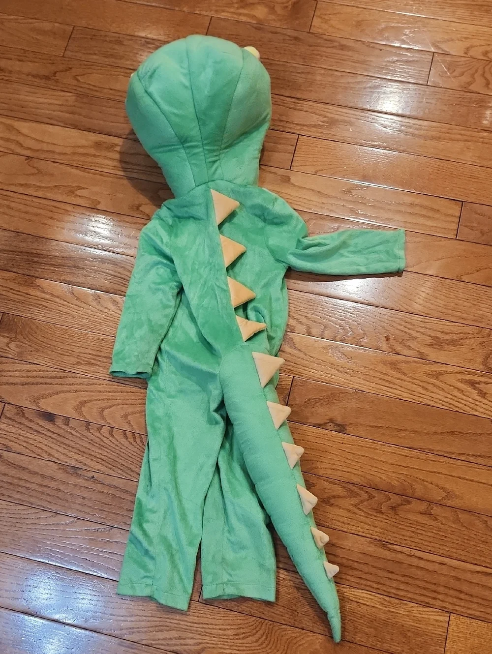 Scholastic Magic School Bus, Liz Dragon Costume, Size 2T